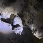 Explore the Enchanting Mysteries of Green Grotto Cave - The Details That Matter for Your Visit