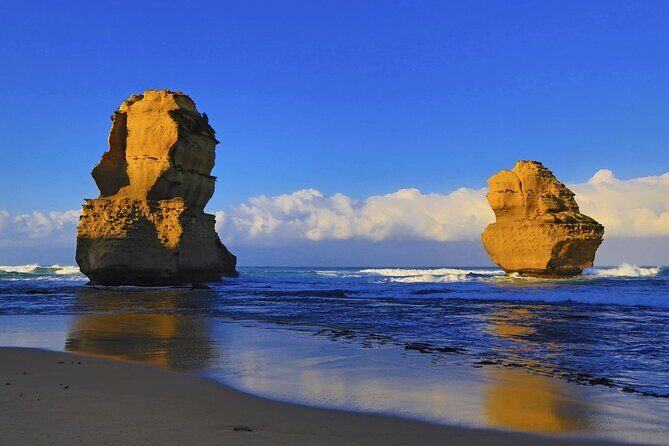 Explore the Great Ocean Road a Coastal Adventure - Why Choose This Tour?