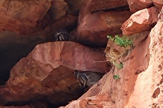 Explore the Hidden Gorges: Kalbarri 4WD, Hike, Canoe Experience - What’s Included and What To Bring