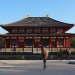 Explore the Timeless Heritage of Nara from Kyoto - Why Value Is More Than Just Cost