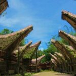 Explore Toraja Culture Heritage in 3 Days from Makassar - Who Is This Tour Best For?