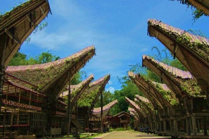 Explore Toraja Culture Heritage in 3 Days from Makassar - Who Is This Tour Best For?