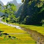 Exploring Hoa Lu - Tam Coc in Ninh Binh - Full Day - Practical Considerations
