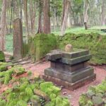 Exploring Siem Reap: Scenic Journey from Phnom Penh or Vice Versa - What Sets This Tour Apart?