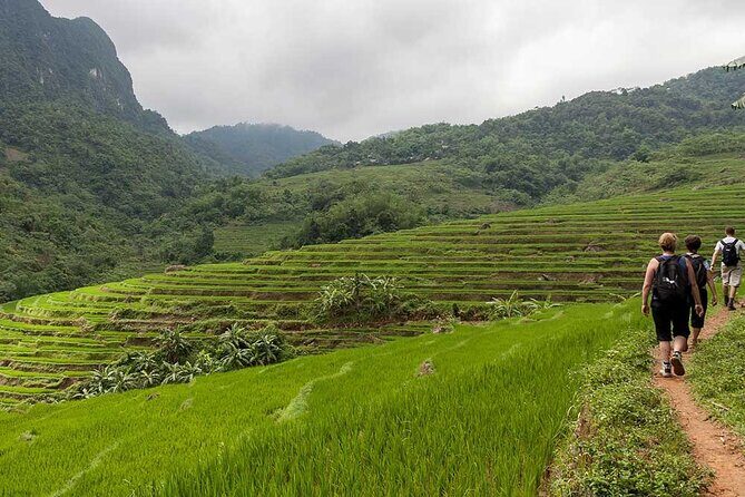 Exquisite 3-Day, 2-Night Journey Through Ninh Binh and Pu Luong - Authentic Experiences Highlighted by Reviews