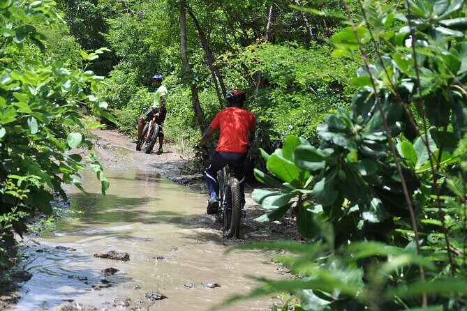 Extreme Outback Tour in St Lucia - What to Expect and Practical Tips