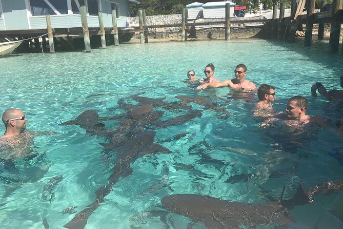 Exuma Day Away - Original Swimming Pigs Excursion - What’s Included: Making the Most of Your Day