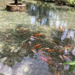 Falmouth: Konoko Falls and White River Tubing Day Tour - The Experience in Detail