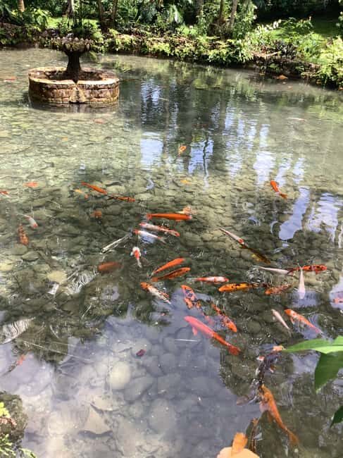 Falmouth: Konoko Falls and White River Tubing Day Tour - The Experience in Detail