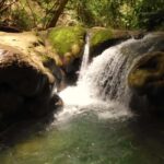 Falmouth: Mayfield Falls Day Trip with Transportation - The Itinerary Breakdown