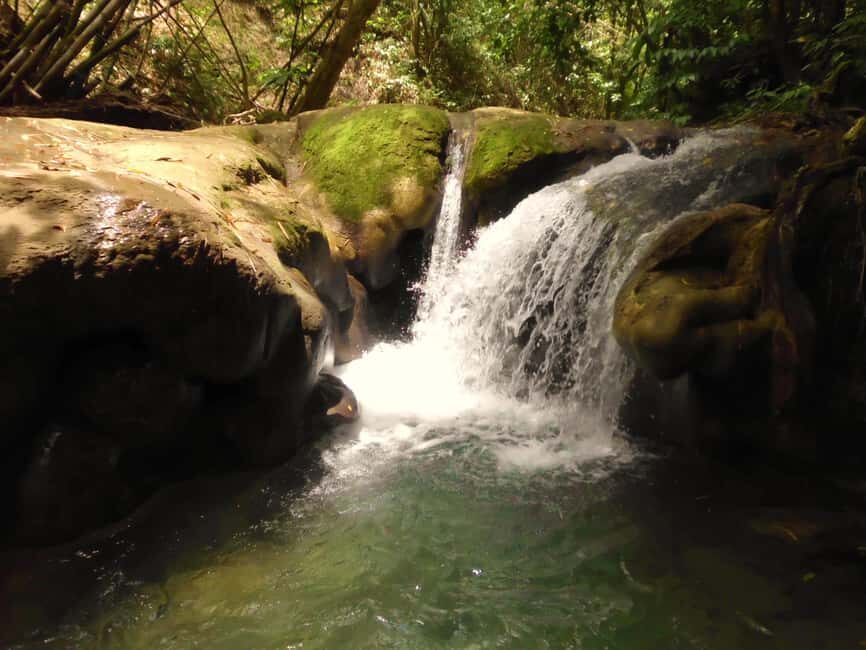Falmouth: Mayfield Falls Day Trip with Transportation - The Itinerary Breakdown