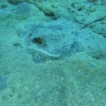 Family Snorkeling Tour - Meeting Points and Practical Details