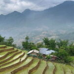 Fansipan Mountain, Cat Cat Village, Rice Terrace 2 Day Sapa Tour - Transportation and Logistics