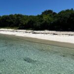 FANTASTIC Green Island and Sea Turtles - Half Day share boat trip - The Guided Snorkeling and Beach Time