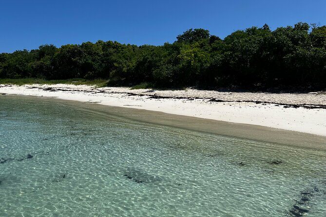 FANTASTIC Green Island and Sea Turtles - Half Day share boat trip - The Guided Snorkeling and Beach Time