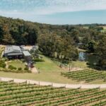 Farm Picnic for 2 adults - An In-Depth Look at the Farm Picnic Experience