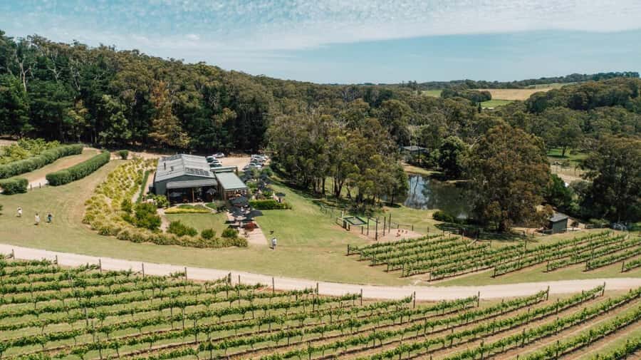 Farm Picnic for 2 adults - An In-Depth Look at the Farm Picnic Experience