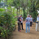 Farm to Table Cooking Class & Authentic Village Experience - Detailed Breakdown of the Tour