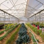 Farm to Table Experience in Jodhpur - FAQs