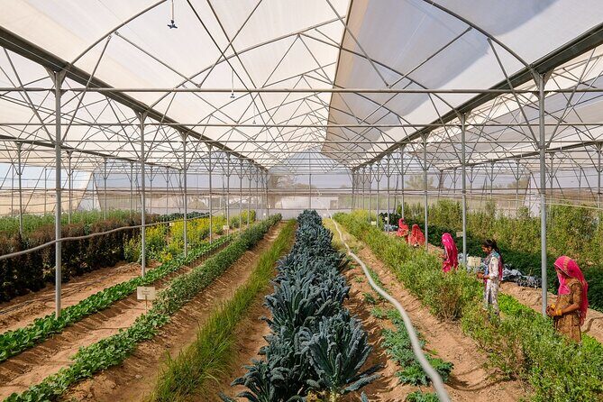 Farm to Table Experience in Jodhpur - FAQs