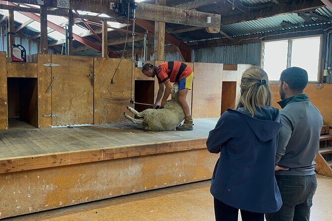 Farm & Wine Experience Fun Experience from Queenstown New Zealand - Practical Information & Considerations