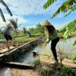 Farming and Cooking Experience at a Local Ninh Binh Farm - An In-Depth Look at the Farming and Cooking Experience