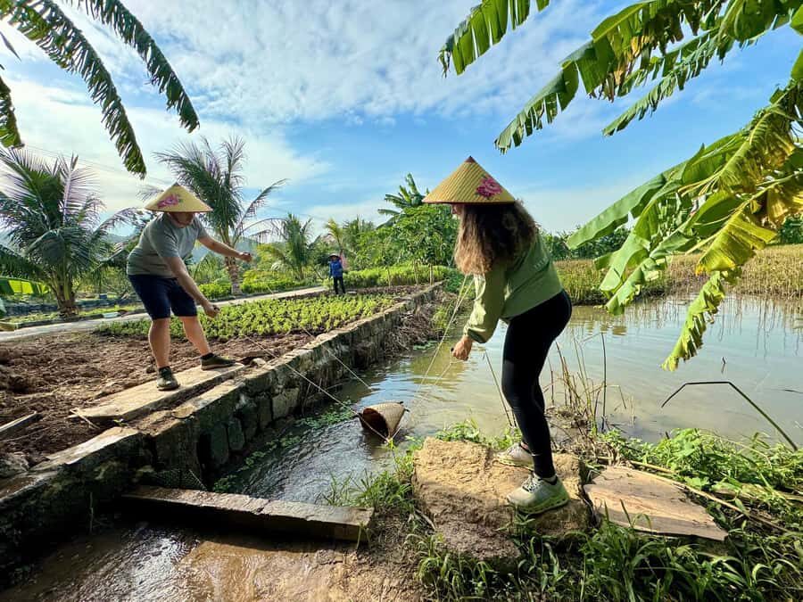 Farming and Cooking Experience at a Local Ninh Binh Farm - An In-Depth Look at the Farming and Cooking Experience