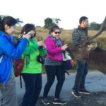 Fascinating Tours in Sri Lanka - A Breakdown of the 7-Day Itinerary