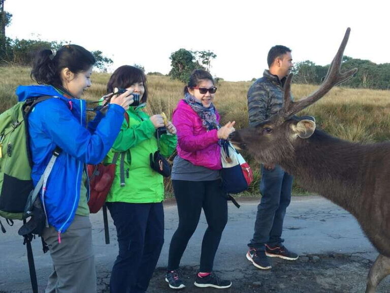 Fascinating Tours in Sri Lanka - A Breakdown of the 7-Day Itinerary