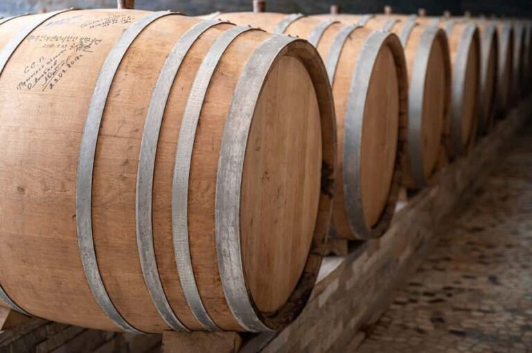 Fergana: Winegarden Winery Tour and Tasting - What to Expect During Your Visit