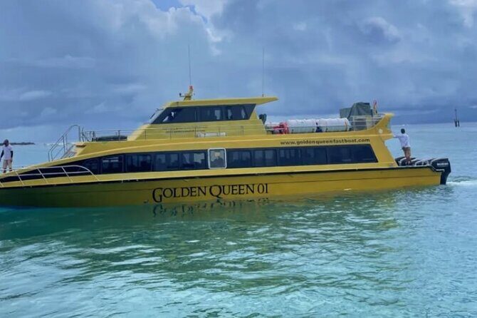 Ferry Transfer Between Padang Bai and Lombok - What Travelers Say