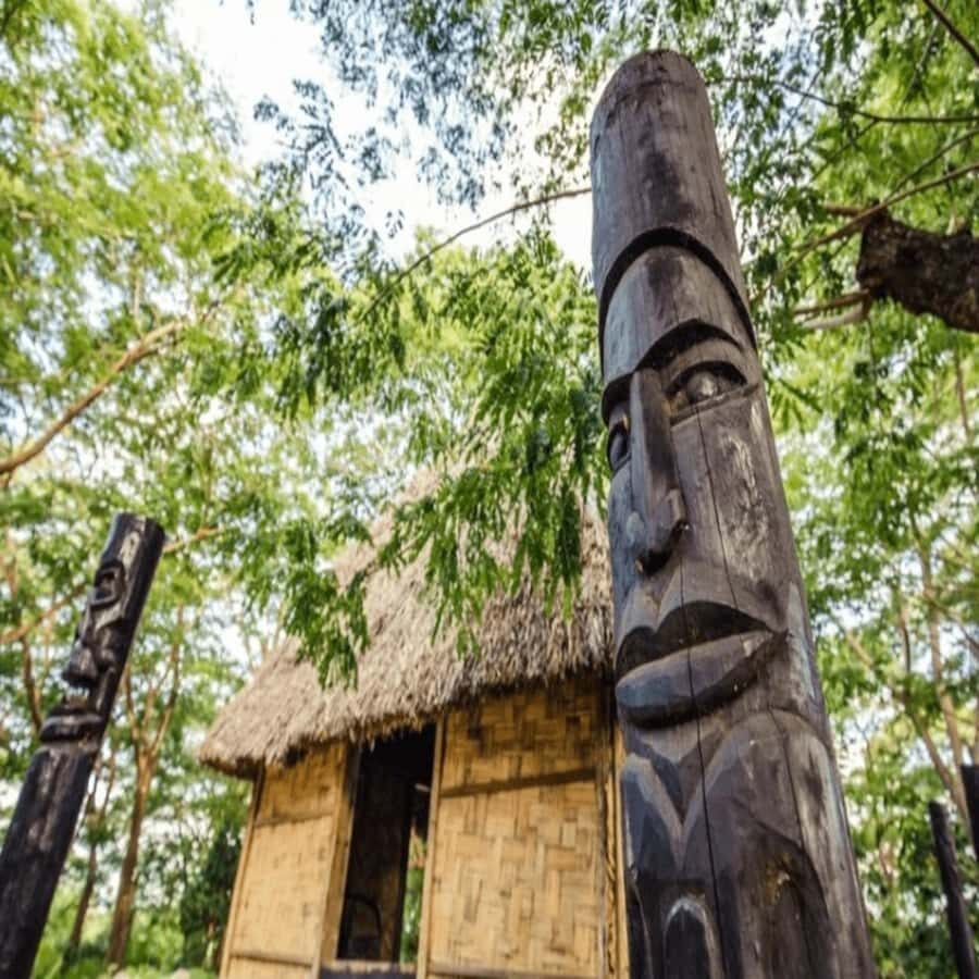 Fiji: Cultural Village Evening Tour with Dinner and Show - The Sum Up