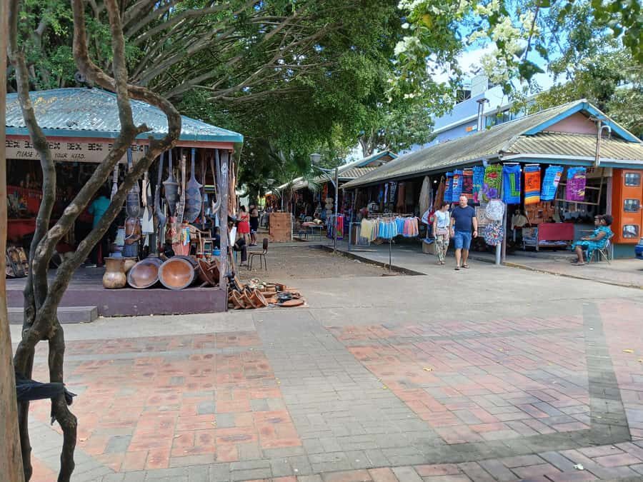 Fiji: Discover Nadi with Sabeto Hotspring and Mudpool Tour - A Deep Dive into the Nadi Tour Experience