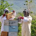 Fiji: Farm Tour: Animals, Honey Tasting & Fijian Cooking - The Itinerary Breakdown