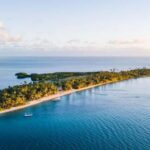 Fiji: Half-Day Island Activities Tour with Jungle Cruise - Transport and Logistics