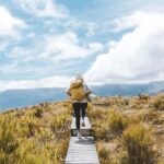 Fiordland: Routeburn Track and Key Summit Guided Day Walk - Who Would Love This Tour