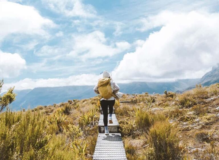 Fiordland: Routeburn Track and Key Summit Guided Day Walk - Who Would Love This Tour