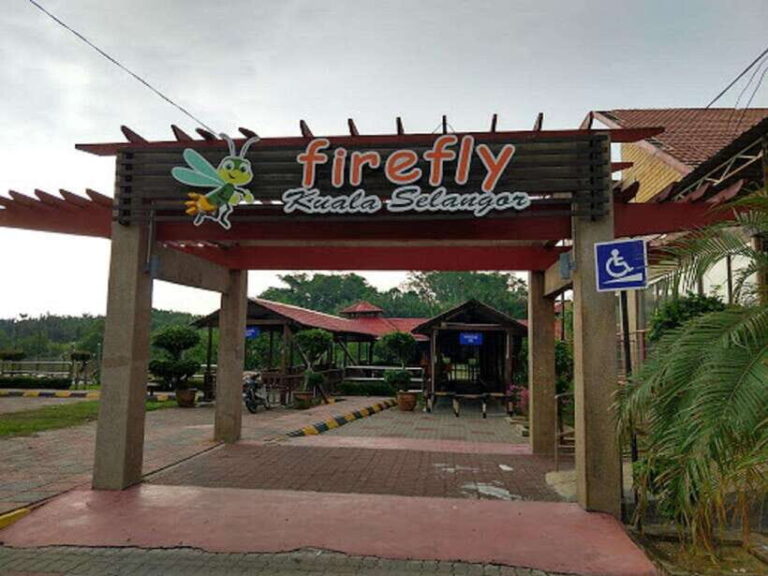 Firefly, Eagle Feeding, and Blue Tears Kuala Selangor Tour - Practical Details and Tips