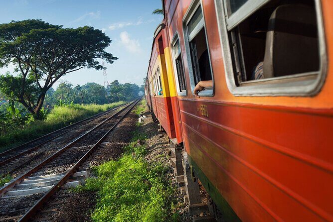 First Class Scenic Train Ticket From Kandy To Ella - The Sum Up