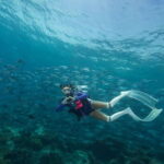 Fisheye Divers: Advanced Open Water Course - The Dive Sites and Marine Environment