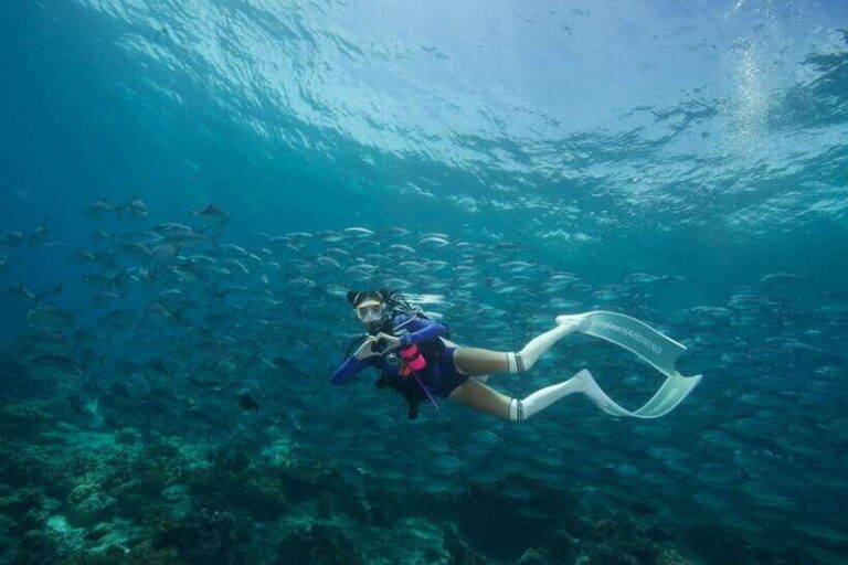 Fisheye Divers: Advanced Open Water Course - The Dive Sites and Marine Environment