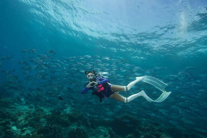 Fisheye Divers: Advanced Open Water Course - The Dive Sites and Marine Environment