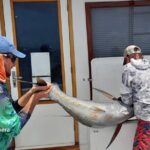 Fishing Charter 6 Hours - The Experience: What to Expect on the Water