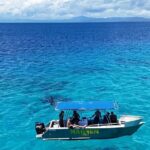 Fishing Charter and Tours - The Fishing Experience: Species and Techniques