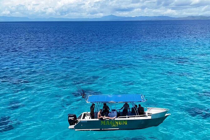 Fishing Charter and Tours - The Fishing Experience: Species and Techniques