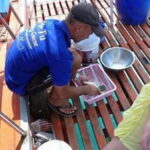Fishing & Island Lunch Cruise from Koh Samui  Catch & Relax - What’s Included and What to Consider