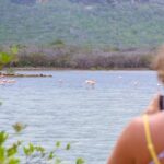 Flamingos Transparent Boat Trip and Chill at Beach (Private Trip) - Authentic Insights from Reviewers