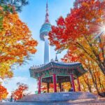 Flexible Private Guided Tour From Incheon Airport and Port - Practical Details and What to Expect