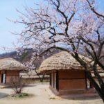 Flexible Private Guided Tour In Suwon(Optional layover) - Authentic Experiences and Insider Insights