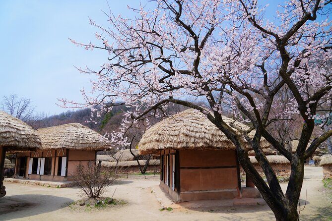 Flexible Private Guided Tour In Suwon(Optional layover) - Authentic Experiences and Insider Insights